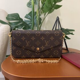 Louis Vuitton Pochette Felicie Monogram Canvas