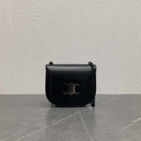 Celine Teen Besace Triomphe in Shiny Calfskin