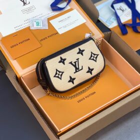 LV Mini Pochette Accessoires