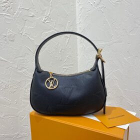 LV Mini Moon Bag