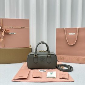 Miu Miu Arcadie Leather Bag