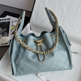 Chanel 25 Small Handbag