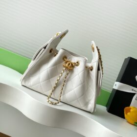 Chanel 25 Mini Handbag